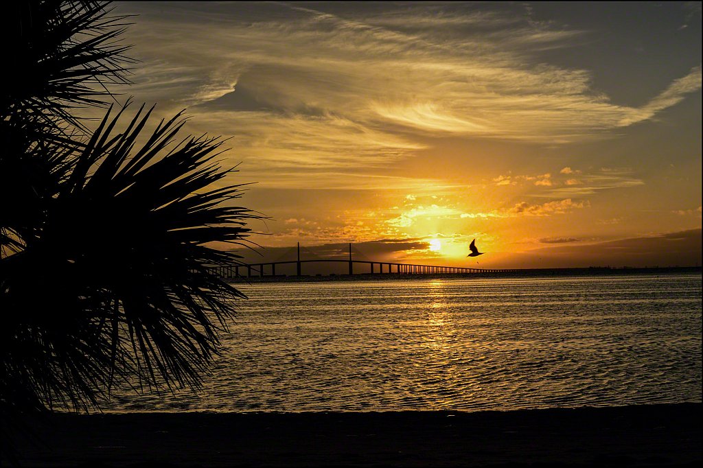 EFI-20131225-0346-FL-02-Wnd-Ft-Desoto-Sunrise.jpg